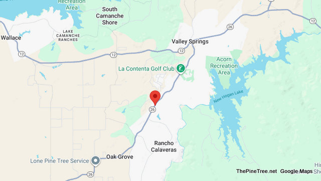 Traffic & Goat Update….10 Goats on the Loose Near Hwy 26 & Farris Drive