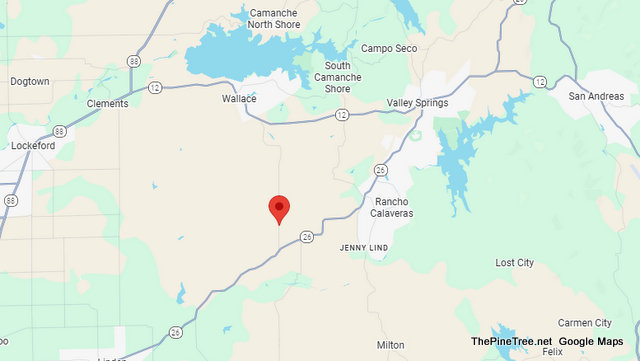 Donkey Standing in Middle of Roadway Near Ospital Rd / Indian Creek Rd