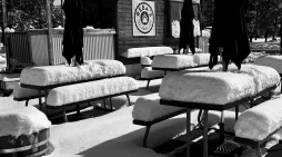 Bear Valley Adventure Company Projects November 27th Opening Day!