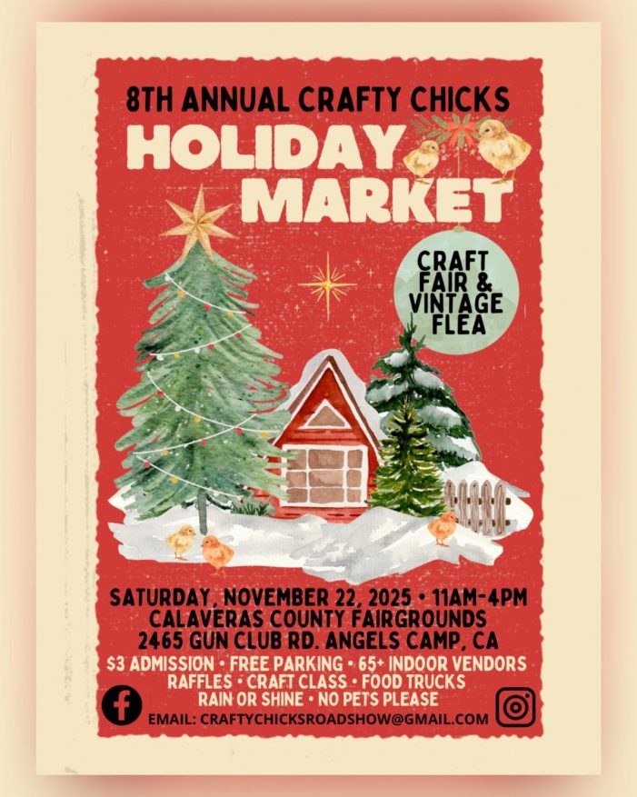Crafty Chicks Annual Holiday Market Returns November 22, 2025