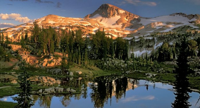 Mr. William George Hosford 1939 ~ 2025