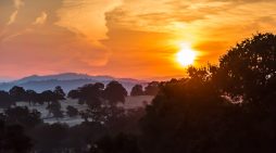 Kenneth Clayton Bailey 1942 ~ 2025