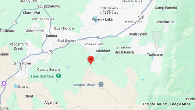 Traffic & Equine Update….Two Horses Running in Roadway Near Wards Ferry Rd / Tinnin Rd