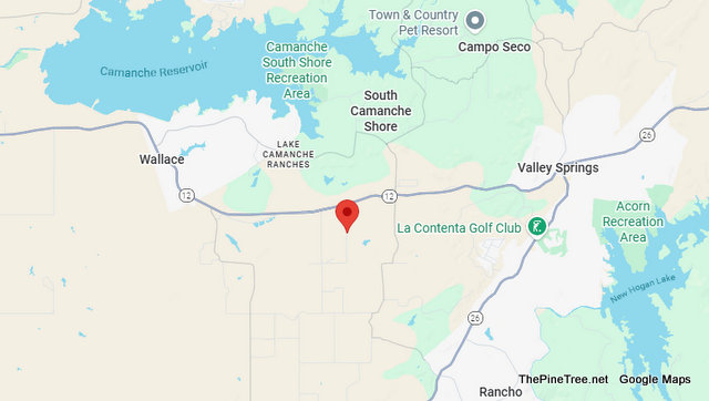 Traffic & Equine Update….Tan & White Horse Running in Roadway Near Messing Rd / Wilky Way