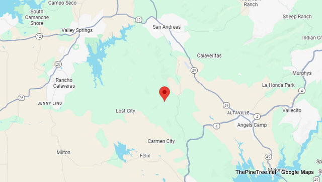 Traffic & Bovine Update…”A Bunch of Cows in the Roadway” Near Latigo St / Tapadero St