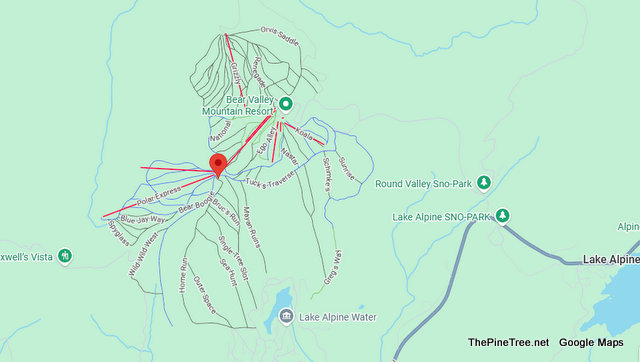 Possible Skier vs Something Collision at Bear Valley