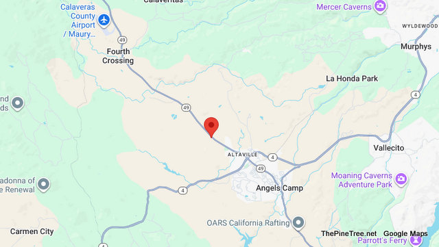 Traffic & Bovine Update….Cows in Roadway on Hwy 49 Between Meecham Ranch & Spence Feed