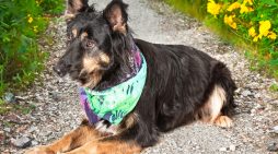 Make Beautiful Ritas Yours Today