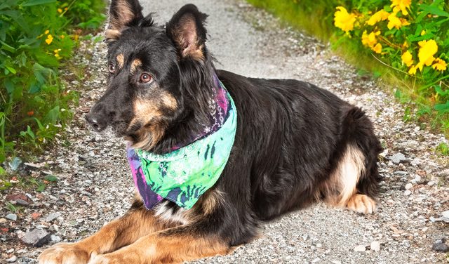 Make Beautiful Ritas Yours Today