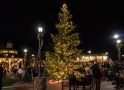 Copperopolis Town Square Christmas Lighting