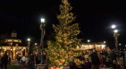 Copperopolis Town Square Christmas Lighting
