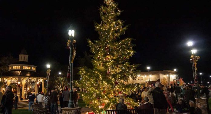 Copperopolis Town Square Christmas Lighting