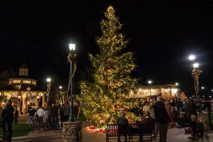 Copperopolis Town Square Christmas Lighting