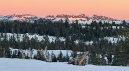 Great Conditions for Cross Country Skiing, Sledding, Tubing & More at Bear Valley Adventure Company!
