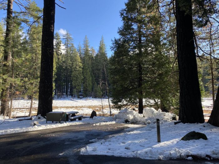 Winter & Even Snow Camping at Big Trees State Park