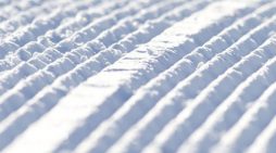 Hey Good People!!  Your Hero Groomed Trails & Runs Await in Bear Valley!! ~ Mattly Trent