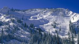 Hey Good People!!  Copious Amounts of Sunshine & Prime Conditions in Bear Valley ~ Mattly Trent