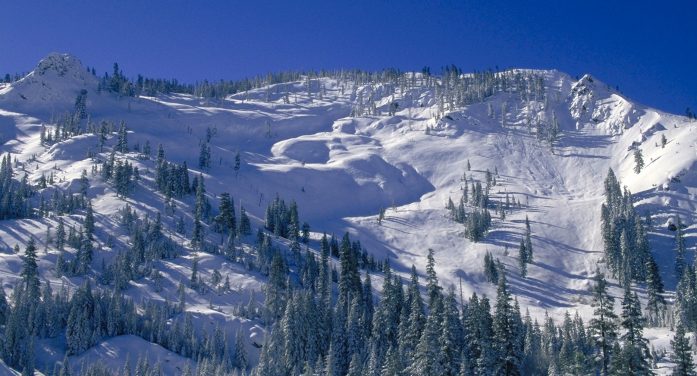 Hey Good People!!  Copious Amounts of Sunshine & Prime Conditions in Bear Valley ~ Mattly Trent