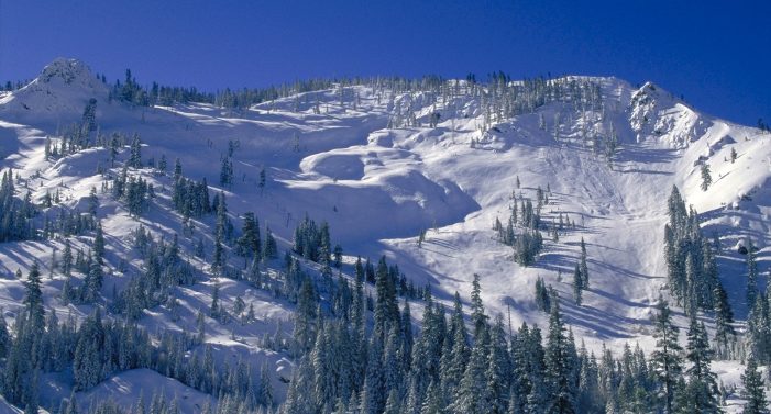 Hey Good People!!  Copious Amounts of Sunshine & Prime Conditions in Bear Valley ~ Mattly Trent