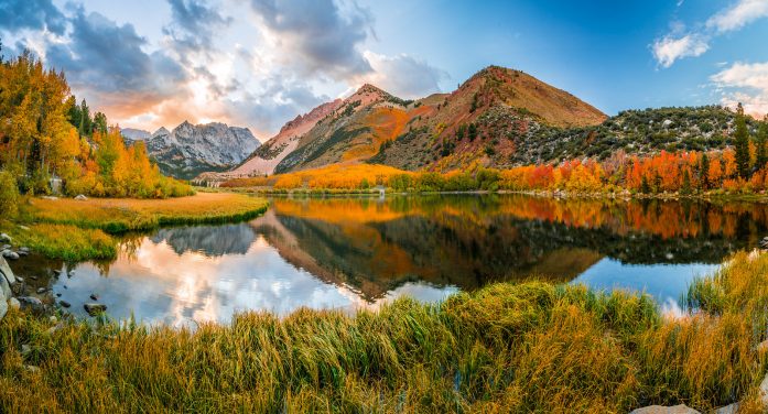 Mr. Calvin Waid 1938 ~ 2026