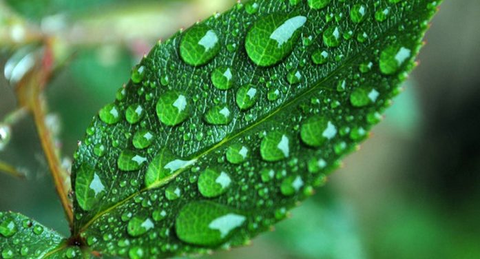 Mrs. Diane Weigand Hare 1947 ~ 2026