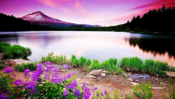 Edna Lavonne Scott 1973 ~ 2026