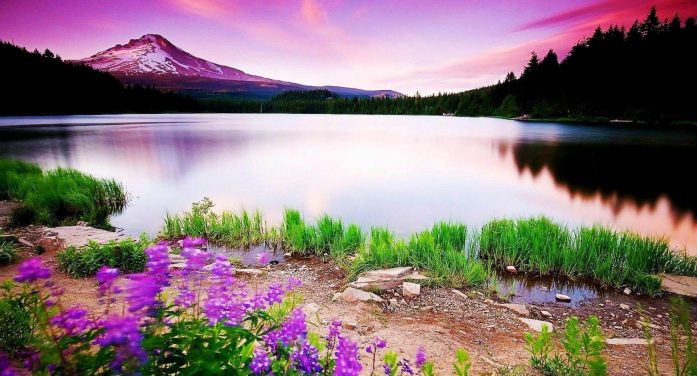 Edna Lavonne Scott 1973 ~ 2026