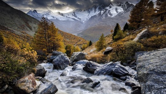 Alan F. Perry 1958 ~ 2026