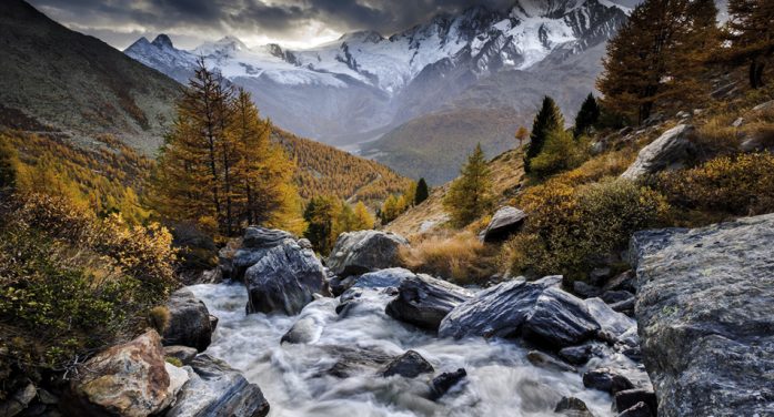 Alan F. Perry 1958 ~ 2026