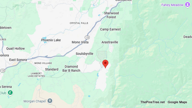 Traffic Update….Vehicle vs Fire Hydrant on Carter Street