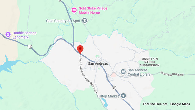 Traffic & Bovine Update….Cow Testing Grass is Greener Theory Near Sr49 / Pool Station Rd