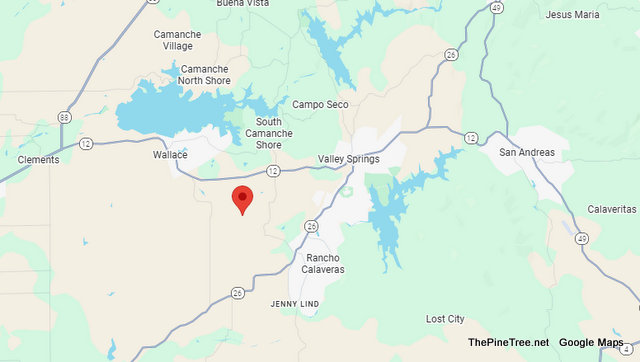 Traffic Update….Pot Belly Pig near Paseo De Los Portales Rd / Phoenix Lake Rd