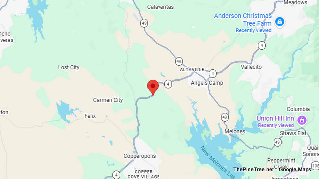 Traffic Update….Logging Truck Blocking Both Lanes Near Sr4 / Stallion Way