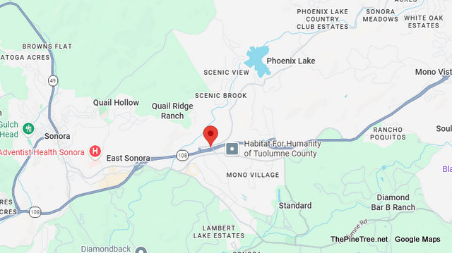 Traffic & Bovine Update….Black Cow on the Loose Near Phoenix Lake Rd / N Hess Ave