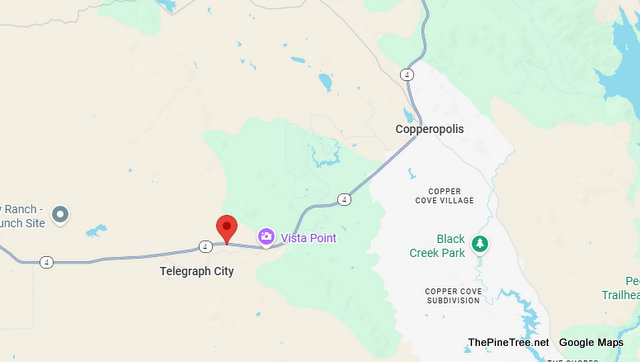 Traffic Update….Pickup vs Cow, Cow Deceased near Telegraph on Hwy 4