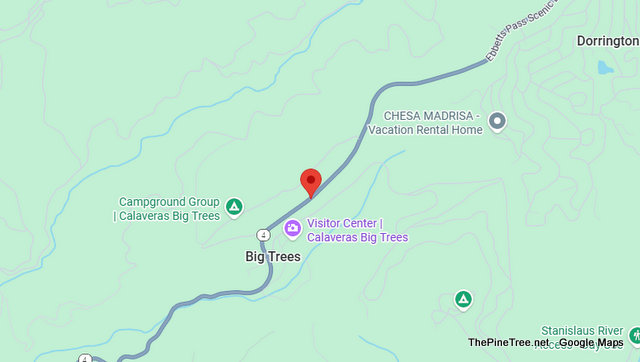 Traffic Update….Tree Blocking Hwy 4 Between Big Trees State Park & Dorrington