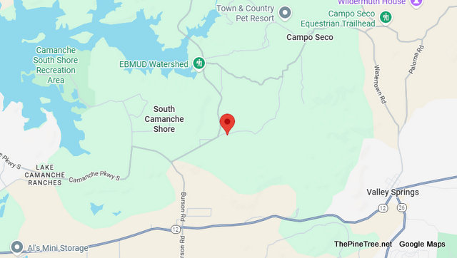 Traffic & Bovine Update….Bull Standing Roadway on Chile Camp Road