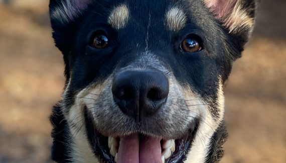 Barbara Ann Bring Bar, Bar, Barbara Ann in to Your Home Today!