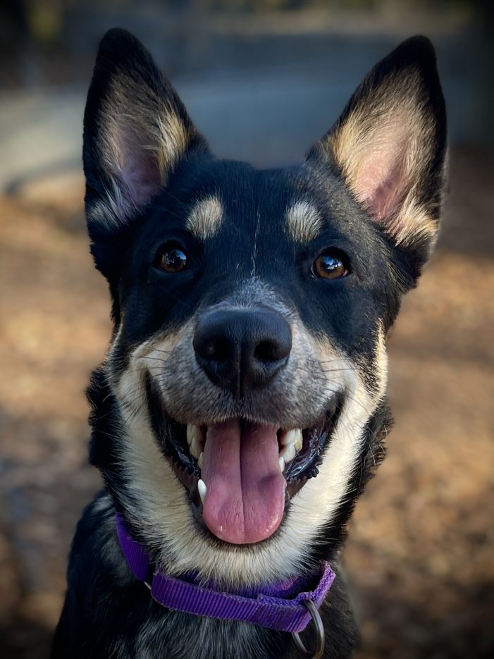 Barbara Ann, You’ll be Singing Bar, Bar, Barbara Ann if You Bring Her Home Today!