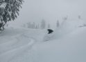 Bear Valley Update…Over 22 Inches of Fresh Snow in Last 24 Hrs!