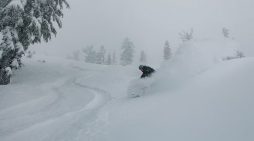 Bear Valley Update…Over 22 Inches of Fresh Snow in Last 24 Hrs!