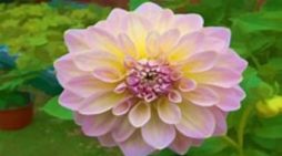 Mrs. Mary “Betty” E. Cyr 1937 ~ 2026