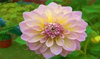 Mrs. Mary “Betty” E. Cyr 1937 ~ 2026