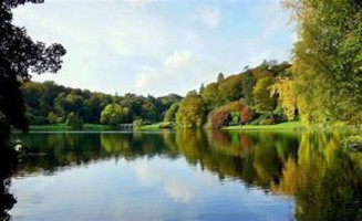 Mr. Eugene Wessels 1946 ~ 2025