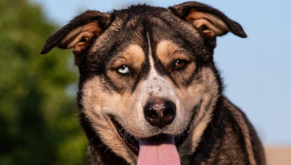 Make Whopper Your Whopper Today!!!