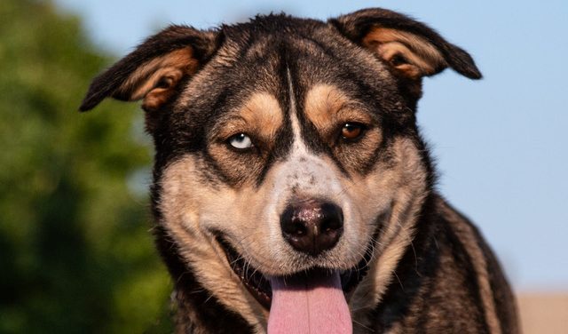 Make Whopper Your Whopper Today!!!