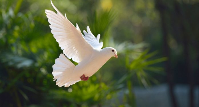 Mrs. Katherine Ilene McClure 1963 ~ 2026