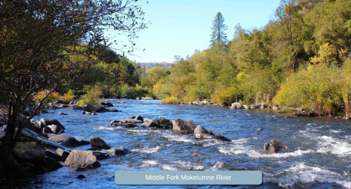 Mr. Larry Wayne Winfield 1962 ~ 2026