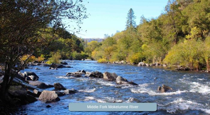 Mr. Larry Wayne Winfield 1962 ~ 2026