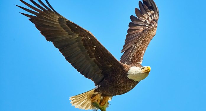 Mr. Terry James Crum 1957 ~ 2026